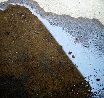 puddle - click to enlarge