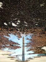 Washington Monument Reflelction