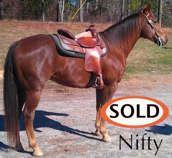 photo link to horse named Nifty