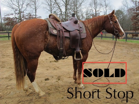 photo link to horse named Short Stop